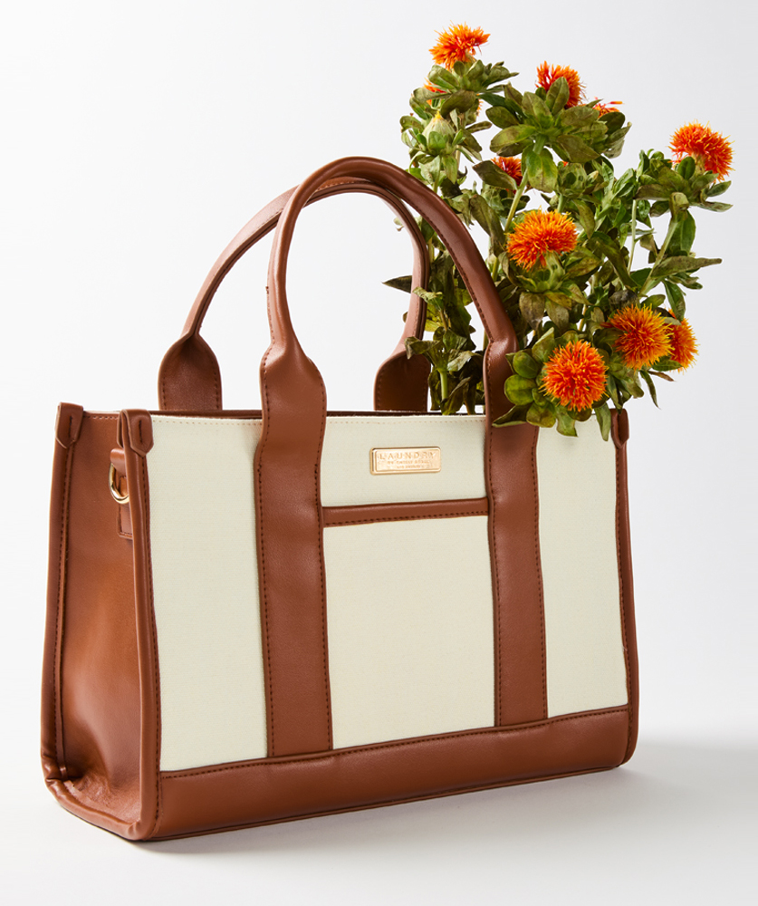 Accessories to Elevate - Elevate Your Look